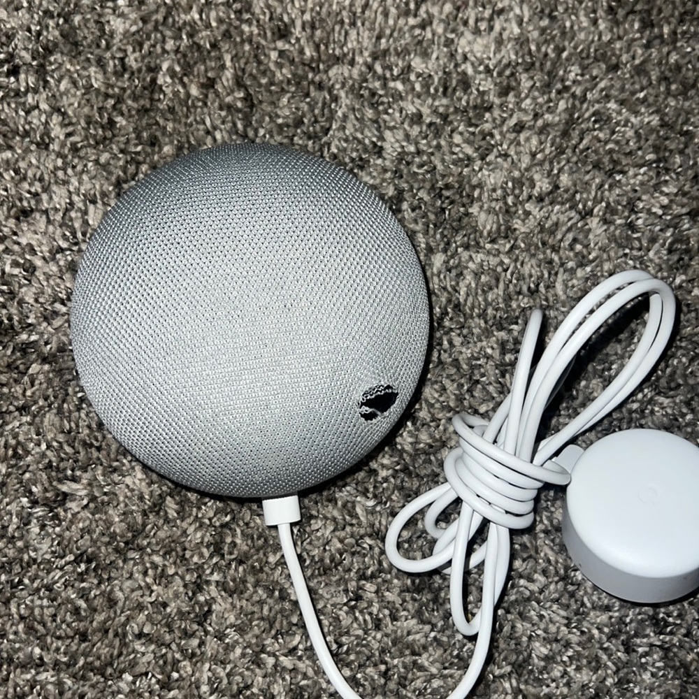 Google home mini